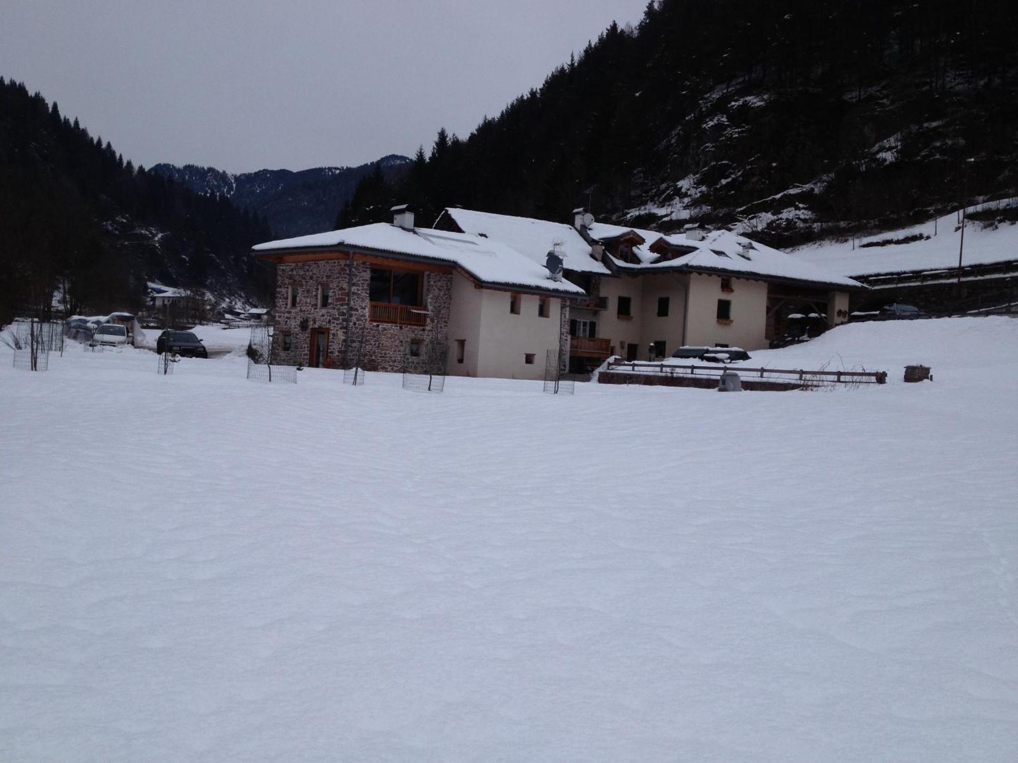 Hotel Maso Toneto Castello-Molina di Fiemme Zewnętrze zdjęcie
