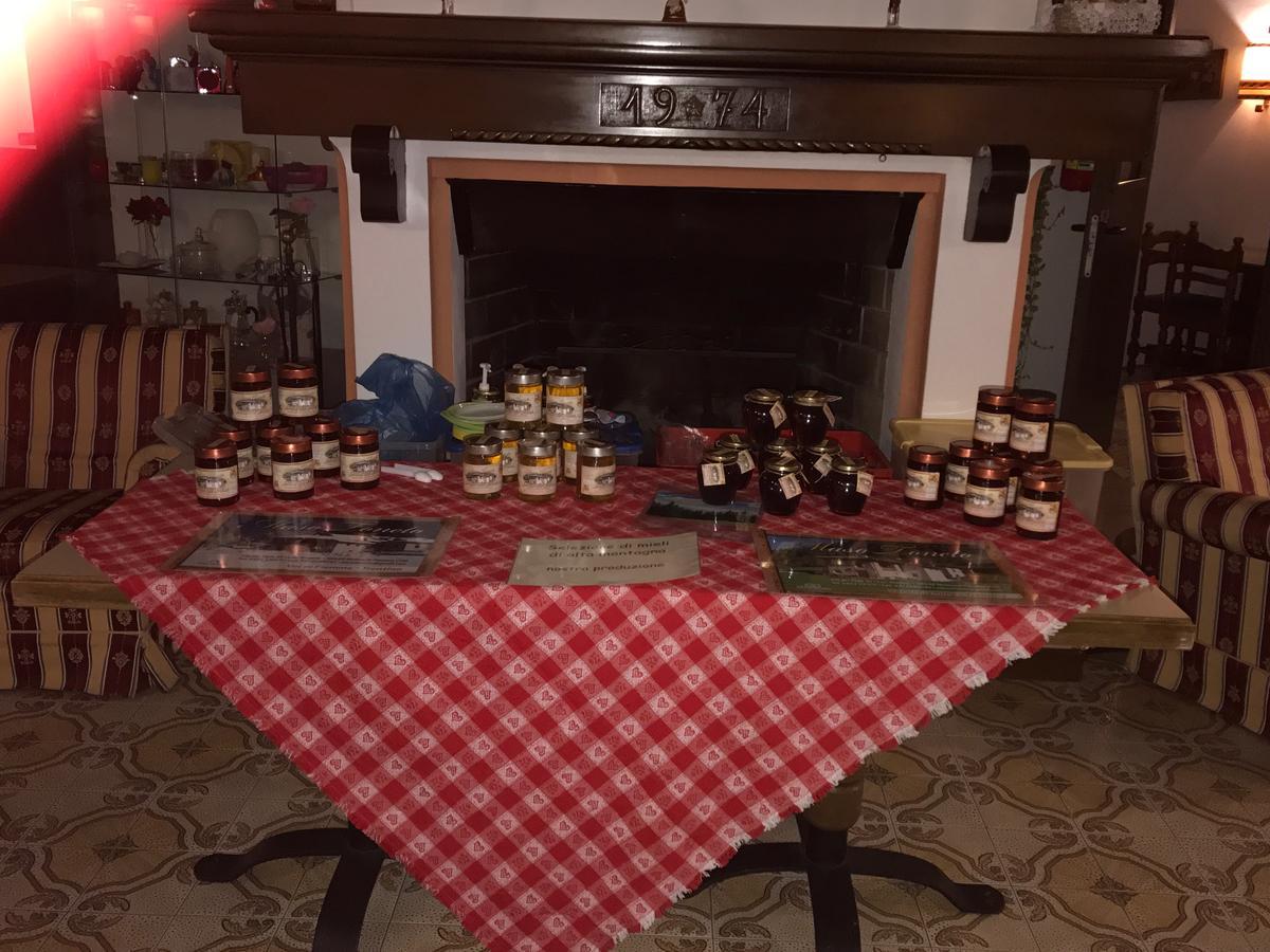 Hotel Maso Toneto Castello-Molina di Fiemme Zewnętrze zdjęcie